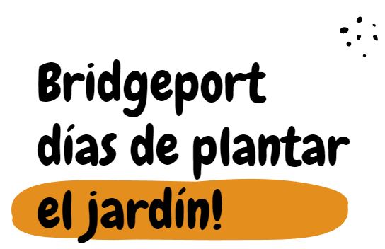Bridgeport garden sp